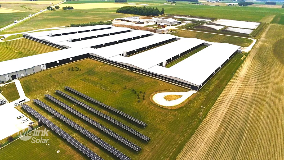 Dairy Farm solar installation